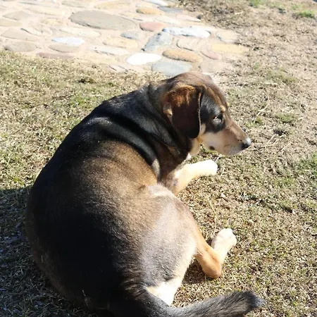 Nyaraló Agapitos Ájosz Nikólaosz