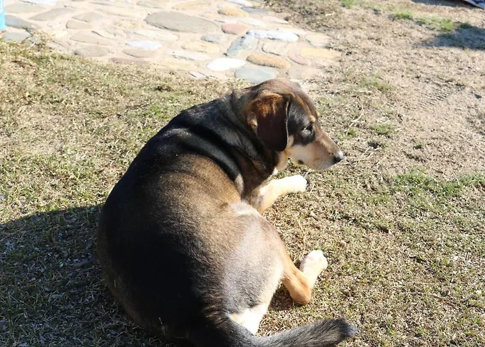 Semesterbostad Agapitos Agios Nikolaos (Chalkidiki)